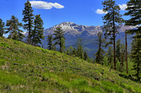 Rampart02